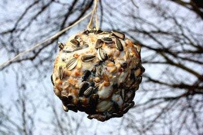 Recept: vetbollen maken!