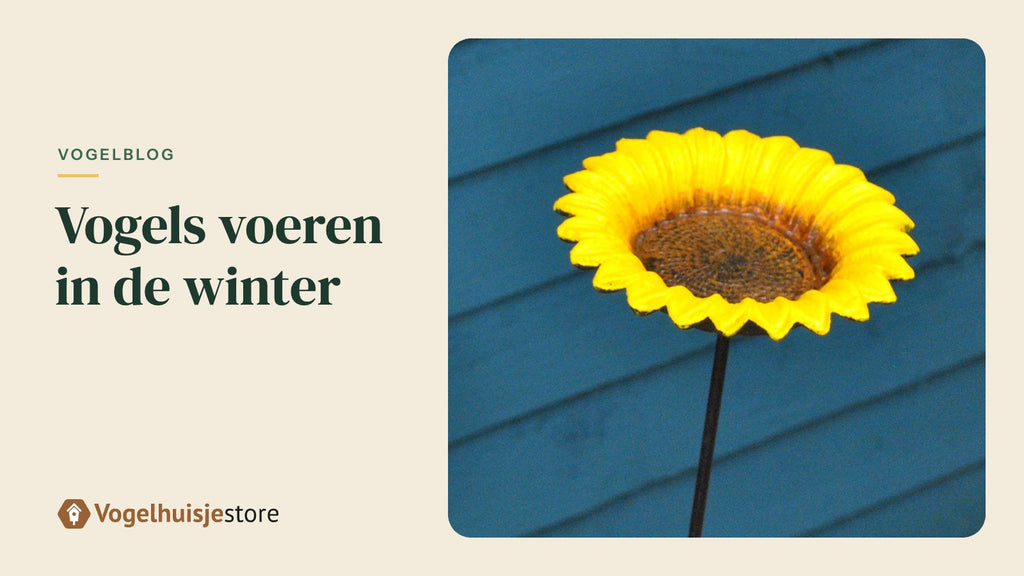 Koolmees en pimpelmees bij een voedersilo met zonnepitten in een besneeuwde tuin