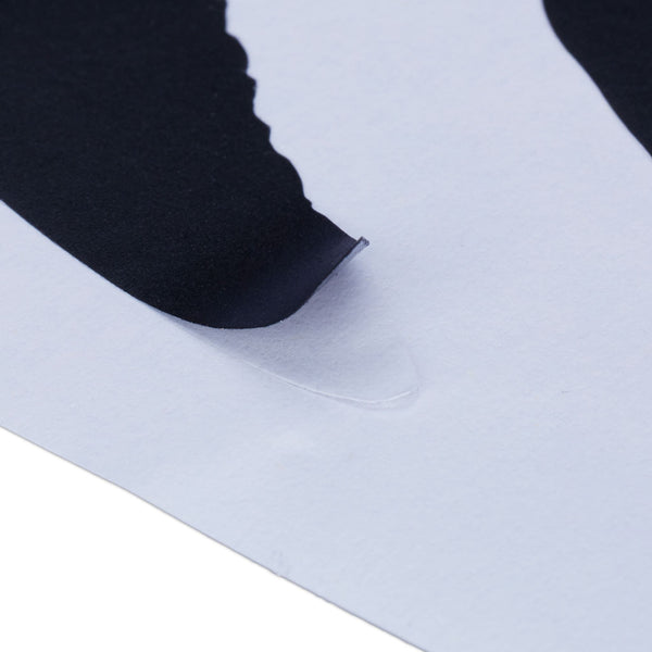 Fensteraufkleber Vogel 9 Stück im Set