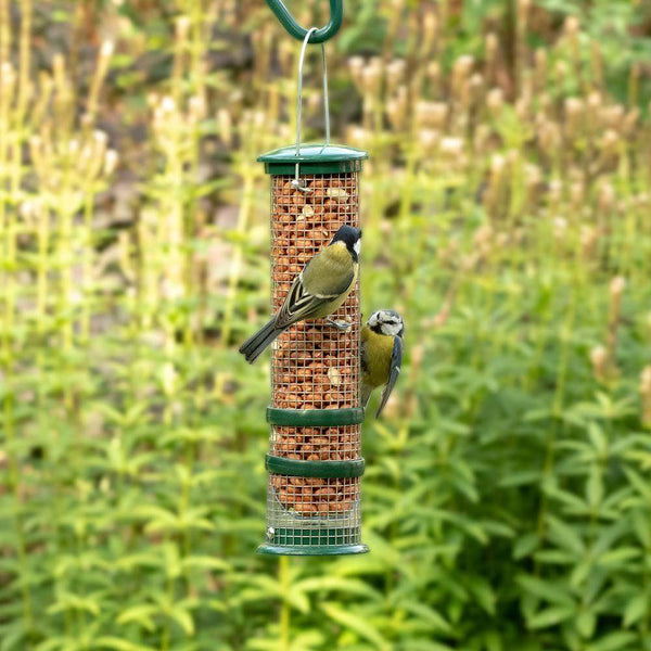 Vogelschutz - Premium Peanuts