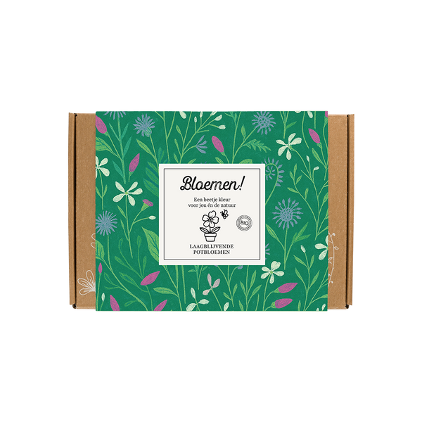 Geschenkbox klein "Bloemen!" met 7 laagblijvende zaadbommen-mix
