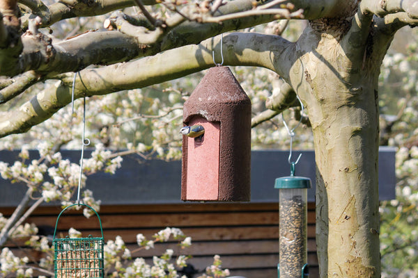 Vrijhangende mezenkast 2M van houtbeton – kat- en marterbestendig – foto 6