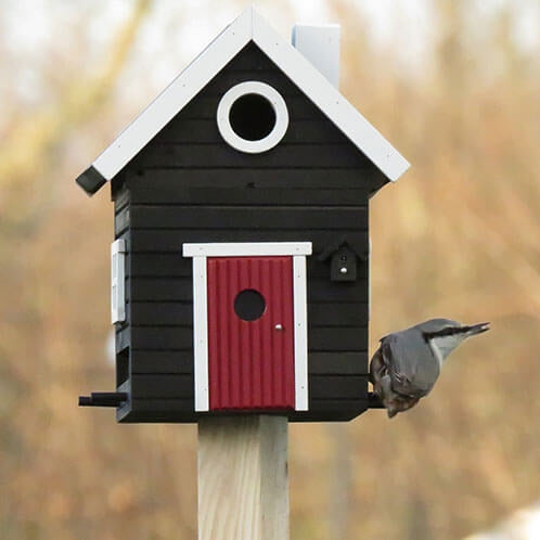 Vogelhaus Black Cottage 2-in-1 Lärchenholz | Wildlife Garden