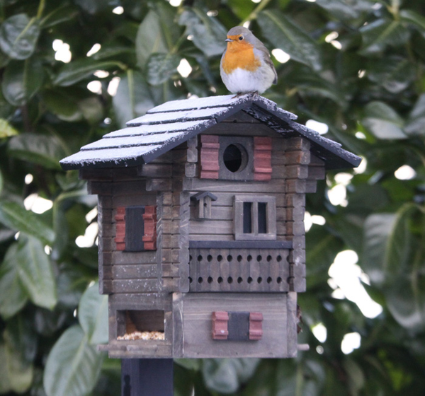 Vogelhuisje Fjällstugan 2-in-1 Lariks-hout | Wildlife Garden – foto 2