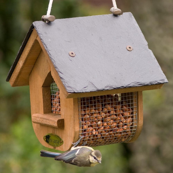 Erdnuss-Futterhaus Jupiter Schiefer