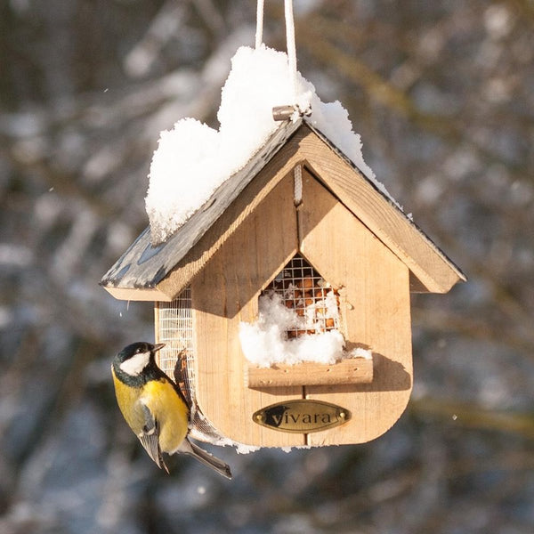 Erdnuss-Futterhaus Jupiter Schiefer