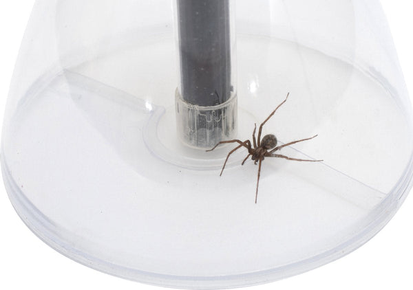 Spider Catcher Bug entfernt