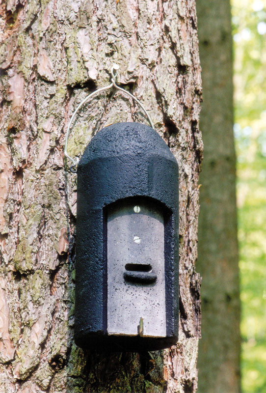 Vleermuiskast 1FD met drievoudige voorwand – kleine vleermuizen – foto 3