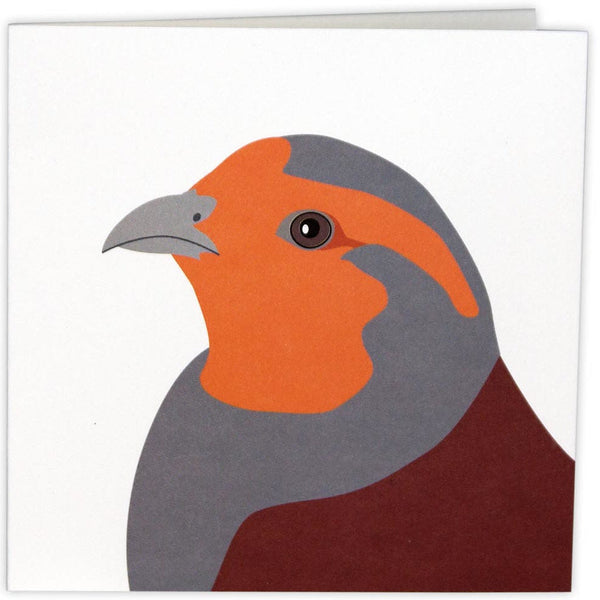 Wildlife Garden - Karten 9 Stück Mix 2