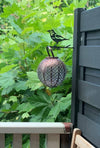 Birdwise - Amsel Nr. 2
