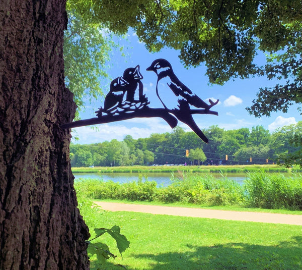 Birdwise - Spatzen mit Jungen