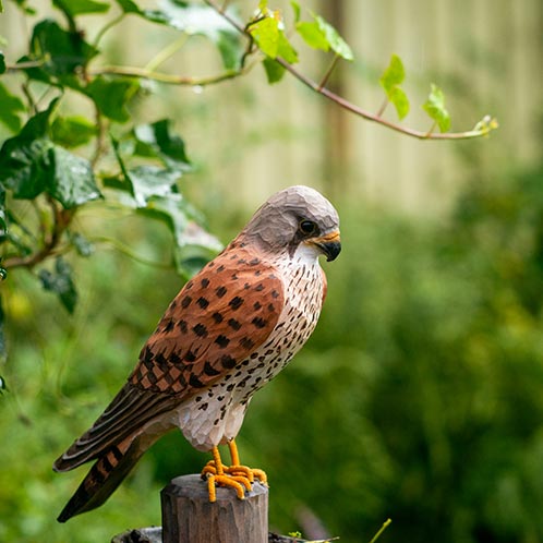 DecoBird - Turmfalke