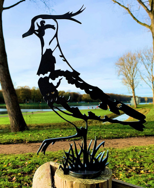 Birdwise - Kiebitz / Kiebitz