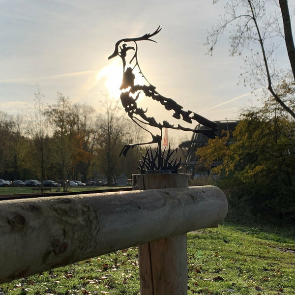 Birdwise - Kiebitz / Kiebitz