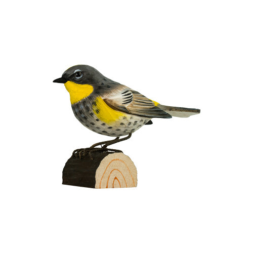 DecoBird Gelbrumpf-Waldsänger