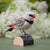 DecoBird Diamond Firetail