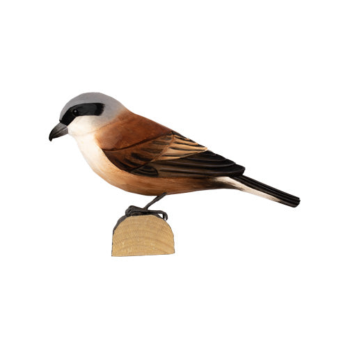 DecoBird - Raubwürger