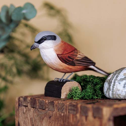 DecoBird - Raubwürger