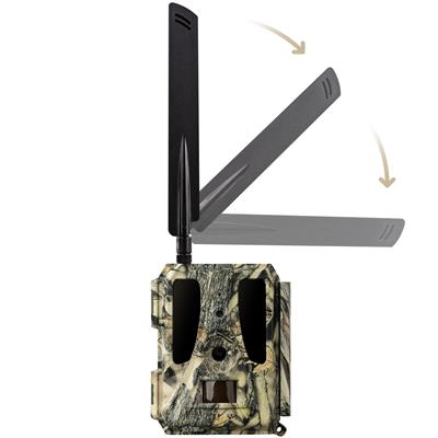 Dörr Cloud PRO 4G Weitwinkel-Wildkamera