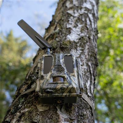 Dörr Cloud PRO 4G Weitwinkel-Wildkamera