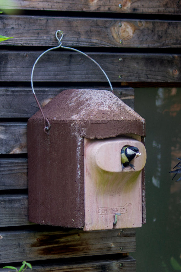 Nestkast 2GR van houtbeton met extra grote broedruimte – mezen – foto 6