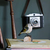 Houtgesneden Vogelbeeld Goudhaantje – DecoBird | Wildlife Garden – foto 6