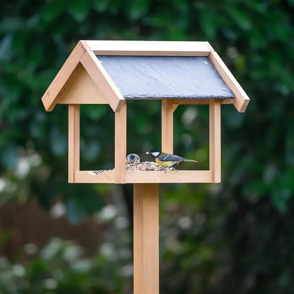 Vogelhaus auf Stange Georgetown
