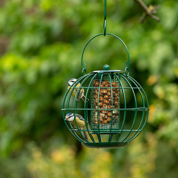 Vogelschutz - Londoner Erdnusssilo