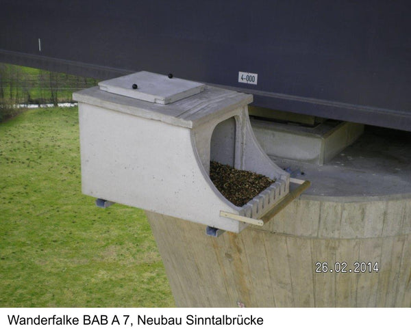 Slechtvalkkast van gewapend lichtbeton – foto 5