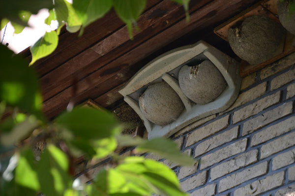 Huiszwaluw-gevelnest nr. 11 van houtbeton – ook zonder overstek – foto 5