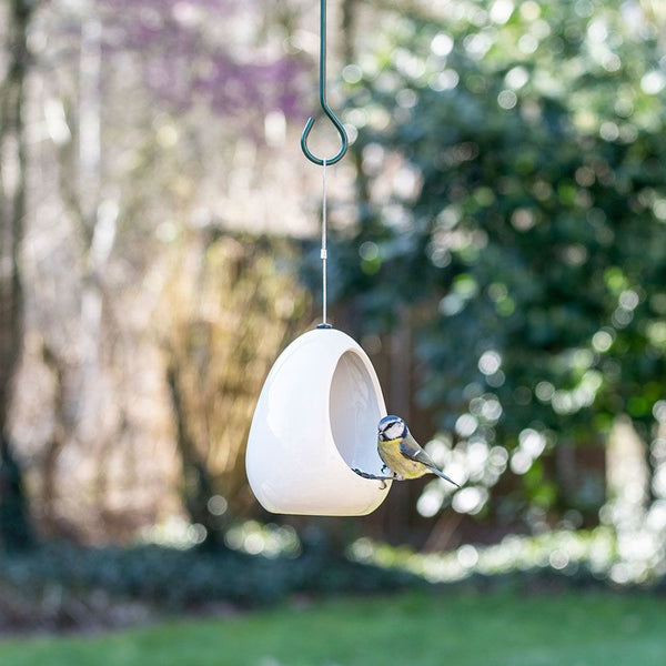 Fiesta-Abendessen - Weiß