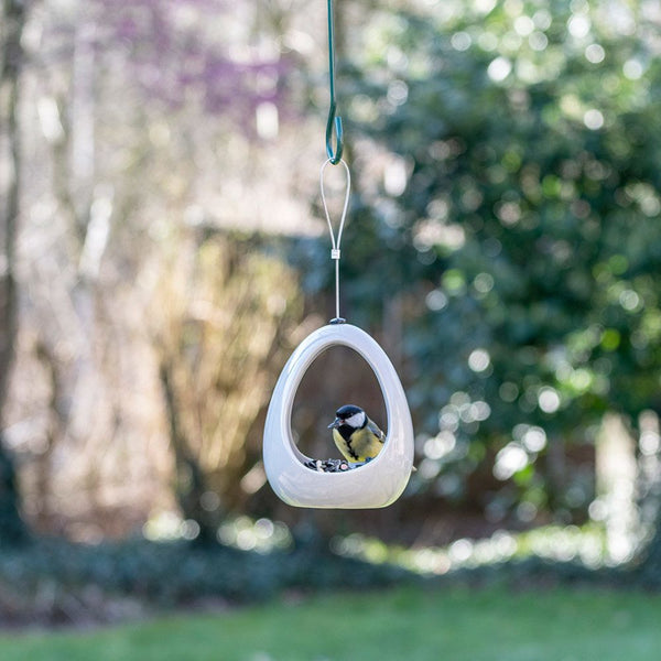 Fiesta-Abendessen - Grau