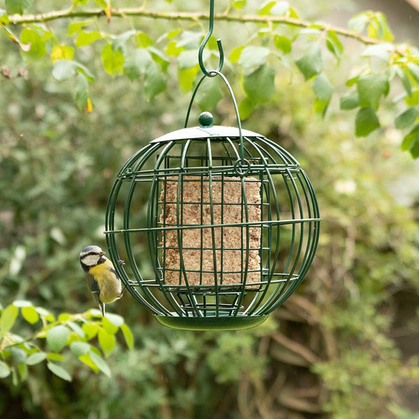 Vogelschutz - London Grease Block Holder