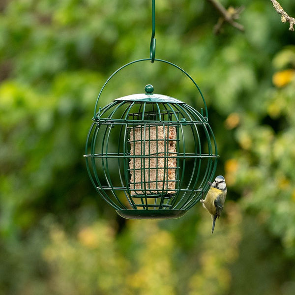 Vogelschutz - London Grease Block Holder