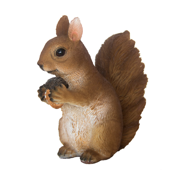 Sitzendes Eichhörnchen S