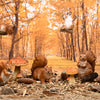 Sitzendes Eichhörnchen S