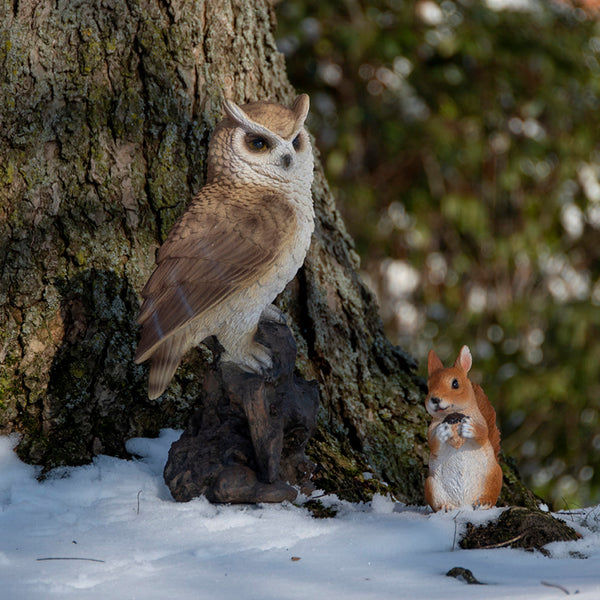Sitzendes Eichhörnchen S