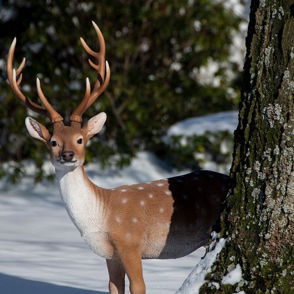 Stehender Sikahirsch L
