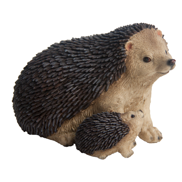 Igel mit Jungem