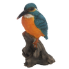 Eisvogel