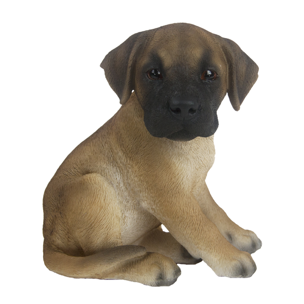 Sitzender Welpe der Deutschen Dogge