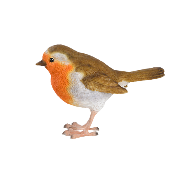 Robin