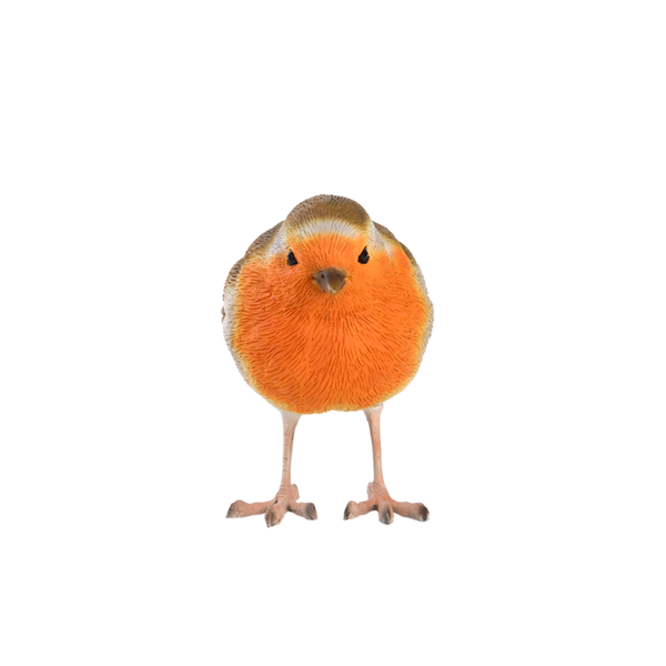 Robin