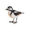 Buntspecht