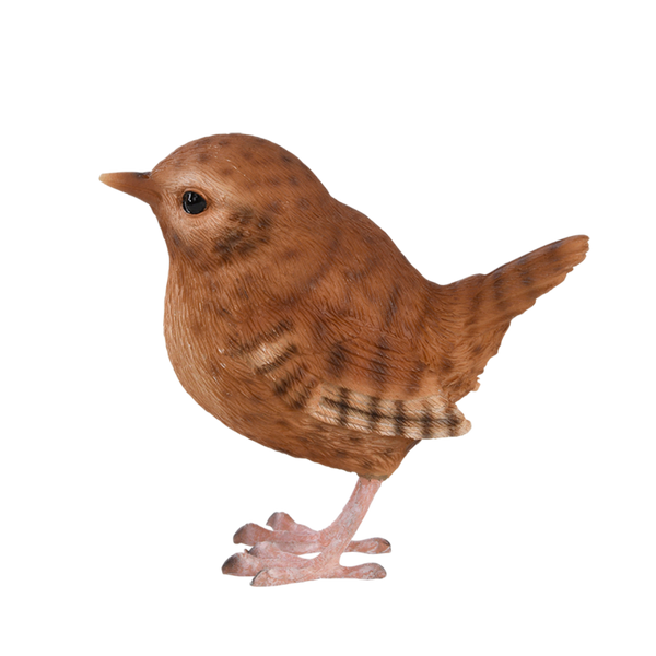 Zaunkönig