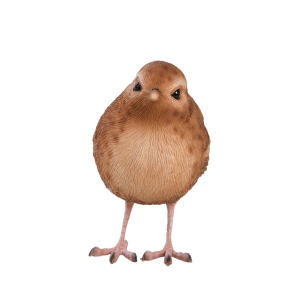 Zaunkönig