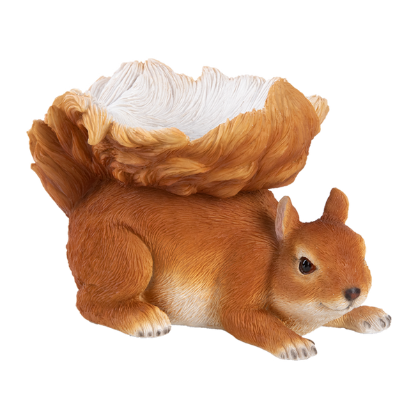 Futternapf für Eichhörnchen