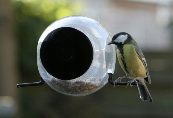 BirdFeeder Fensterfutterspender – Transparenter Fenster-Vogelfutterspender (15 x 10 x 15 cm)