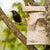 Vogelhaus Birkenstamm Groß 45mm | Tuinrijk