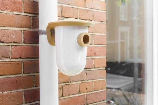 SingingFriend - wideR braun